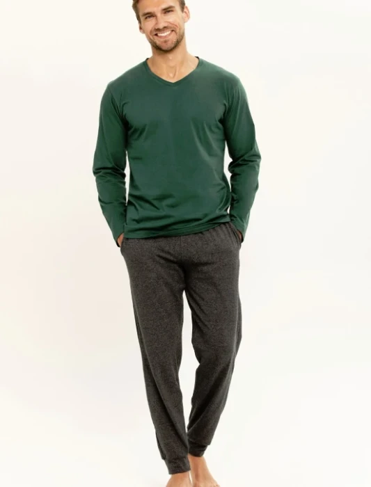 taro 3301 dan.webp